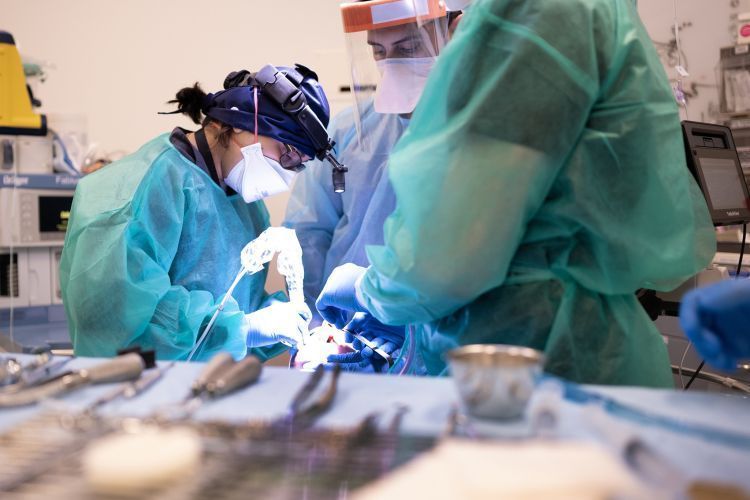 dentists dressed in scrubs stand at an operating table