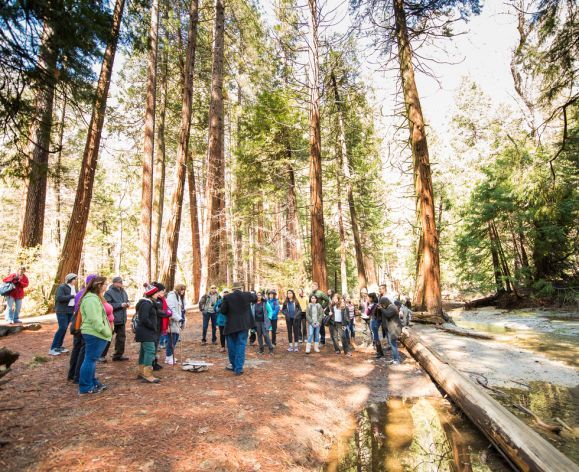 participants of the John Muir Symposium travelled to Yosemite National Park. Large trees surround the students while a John Muir reenactor provides the history of the area.